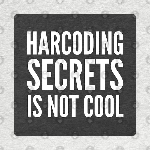 Secure Coding Harcoding Secrets Is Not Cool Black Background by FSEstyle